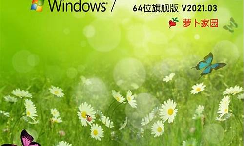 萝卜家园win7系统安装教程_萝卜家园w