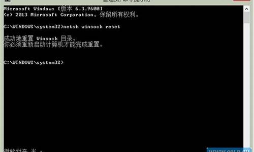 成功的重置winsock目录怎么重启计算机_重置一下wins