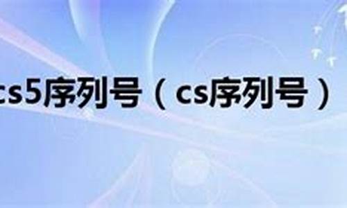 单机cs序列号_cs序列号不对为什么